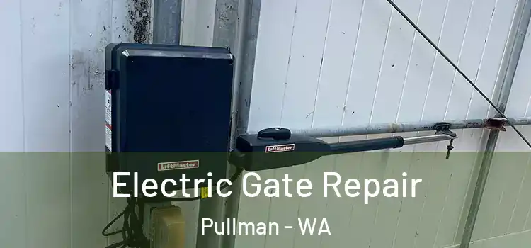 Electric Gate Repair Pullman - WA